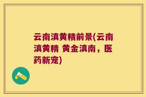云南滇黄精前景(云南滇黄精 黄金滇南，医药新宠)