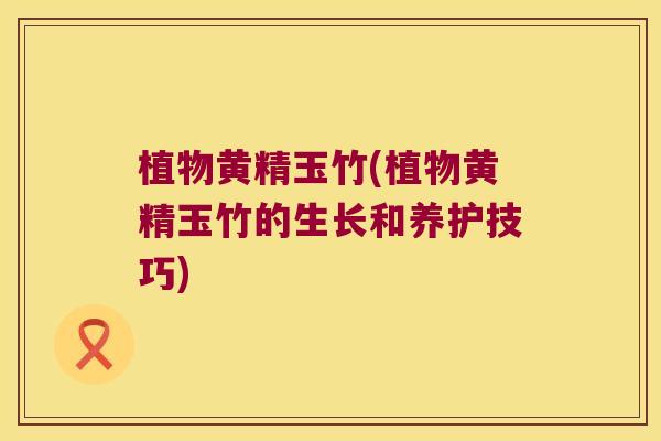 植物黄精玉竹(植物黄精玉竹的生长和养护技巧) 植物黄精玉竹(植物黄精玉竹的生长和养护技巧)
