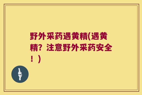野外采药遇黄精(遇黄精？注意野外采药安全！)