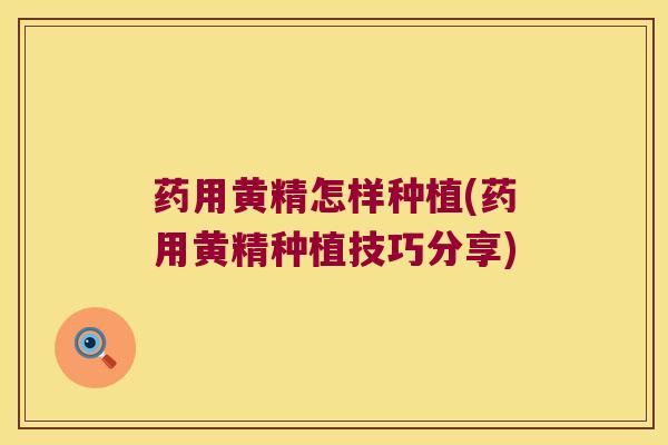 药用黄精怎样种植(药用黄精种植技巧分享)