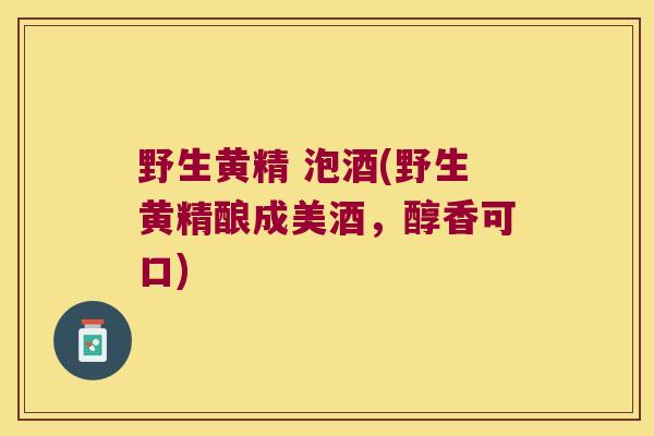 野生黄精 泡酒(野生黄精酿成美酒，醇香可口)