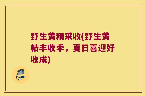野生黄精采收(野生黄精丰收季,夏日喜迎好收成) 野生黄精采收(野生黄精丰收季,夏日喜迎好收成)