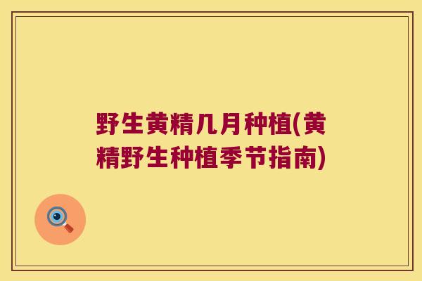 野生黄精几月种植(黄精野生种植季节指南)