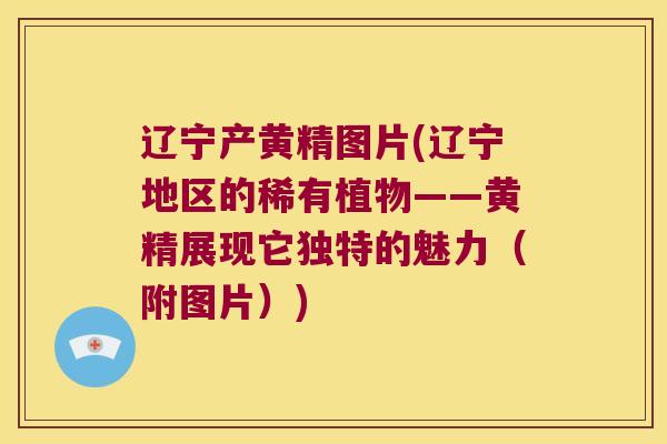 辽宁产黄精图片(辽宁地区的稀有植物——黄精展现它独特的魅力(附图片)) 辽宁产黄精图片(辽宁地区的稀有植物——黄精展现它独特的魅力(附图片))