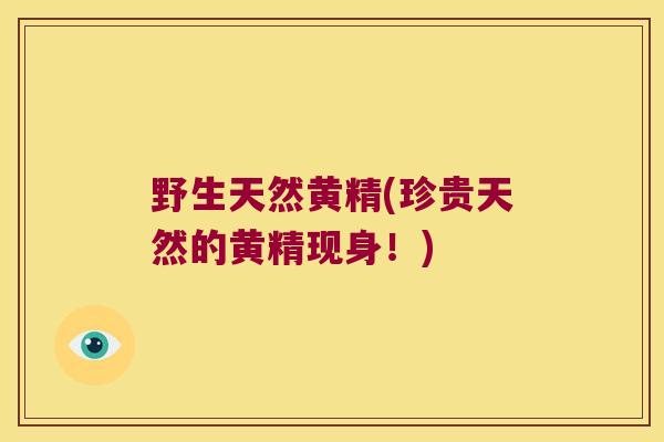 野生天然黄精(珍贵天然的黄精现身！)