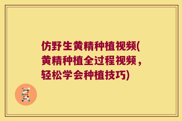 仿野生黄精种植视频(黄精种植全过程视频,轻松学会种植技巧) 仿野生黄精种植视频(黄精种植全过程视频,轻松学会种植技巧)
