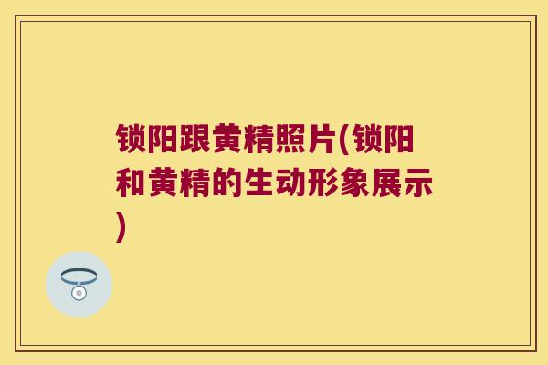 锁阳跟黄精照片(锁阳和黄精的生动形象展示) 锁阳跟黄精照片(锁阳和黄精的生动形象展示)