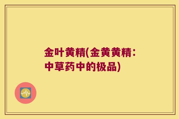 金叶黄精(金黄黄精:中草药中的极品) 金叶黄精(金黄黄精:中草药中的极品)