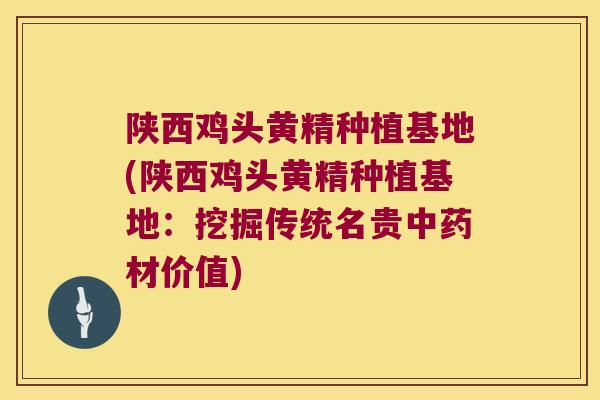 陕西鸡头黄精种植基地(陕西鸡头黄精种植基地：挖掘传统名贵材价值)
