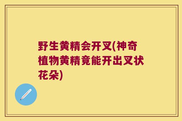 野生黄精会开叉(神奇植物黄精竟能开出叉状花朵)