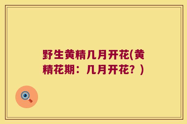 野生黄精几月开花(黄精花期：几月开花？)