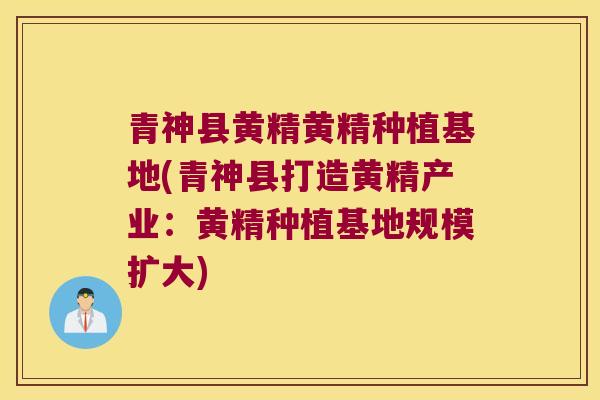 青神县黄精黄精种植基地(青神县打造黄精产业:黄精种植基地规模扩大) 青神县黄精黄精种植基地(青神县打造黄精产业:黄精种植基地规模扩大)