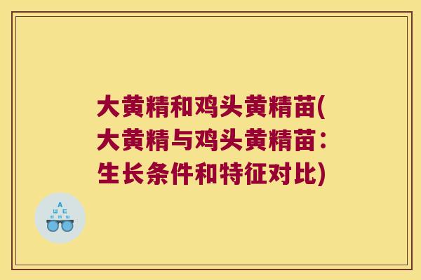 大黄精和鸡头黄精苗(大黄精与鸡头黄精苗：生长条件和特征对比)