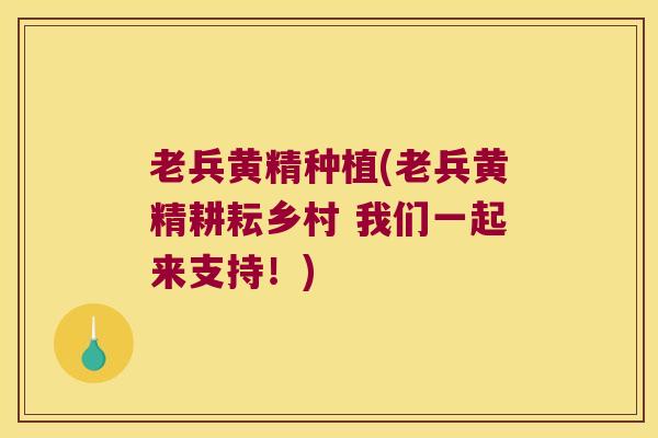 老兵黄精种植(老兵黄精耕耘乡村 我们一起来支持！)