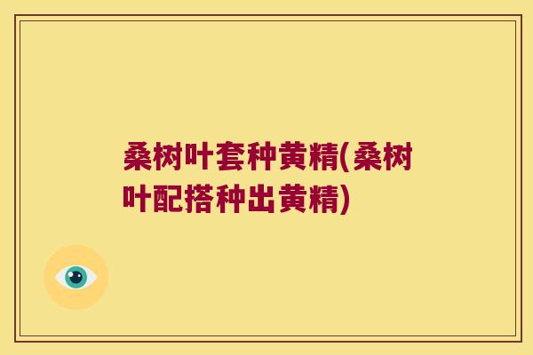 桑树叶套种黄精(桑树叶配搭种出黄精)