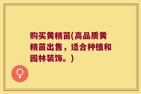 购买黄精苗(高品质黄精苗出售，适合种植和园林装饰。)