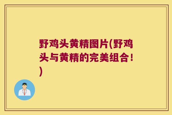 野鸡头黄精图片(野鸡头与黄精的完美组合！)