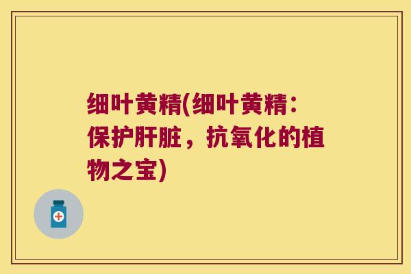 细叶黄精(细叶黄精:保护,的植物之宝) 细叶黄精(细叶黄精:保护,的植物之宝)