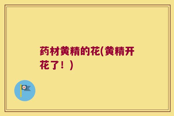 药材黄精的花(黄精开花了!) 药材黄精的花(黄精开花了!)
