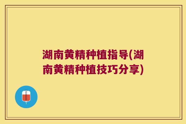 湖南黄精种植指导(湖南黄精种植技巧分享)