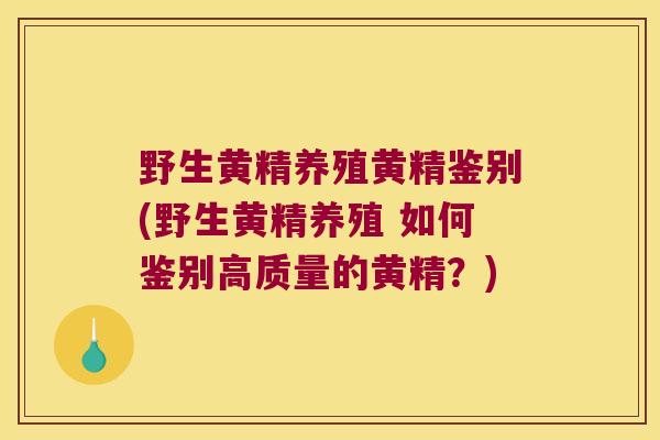 野生黄精养殖黄精鉴别(野生黄精养殖 如何鉴别高质量的黄精？)
