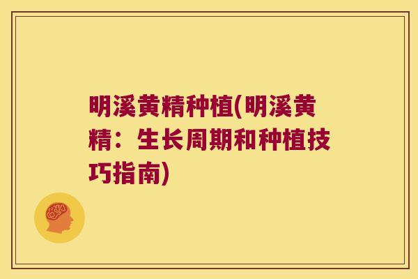 明溪黄精种植(明溪黄精：生长周期和种植技巧指南)