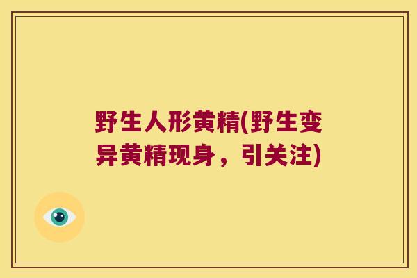 野生人形黄精(野生变异黄精现身,引关注) 野生人形黄精(野生变异黄精现身,引关注)