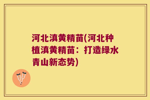 河北滇黄精苗(河北种植滇黄精苗:打造绿水青山新态势) 河北滇黄精苗(河北种植滇黄精苗:打造绿水青山新态势)