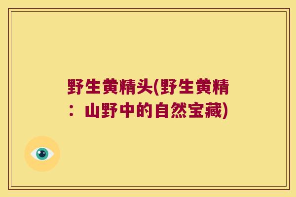 野生黄精头(野生黄精：山野中的自然宝藏)