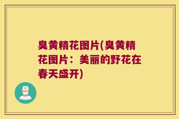 臭黄精花图片(臭黄精花图片：美丽的野花在春天盛开)