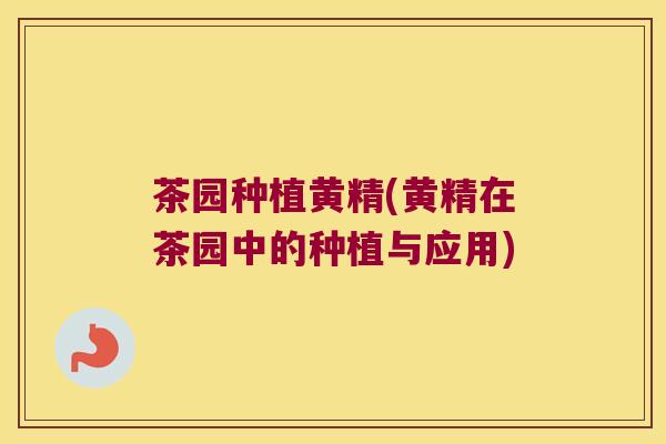 茶园种植黄精(黄精在茶园中的种植与应用)