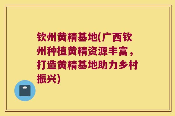 钦州黄精基地(广西钦州种植黄精资源丰富,打造黄精基地助力乡村振兴) 钦州黄精基地(广西钦州种植黄精资源丰富,打造黄精基地助力乡村振兴)