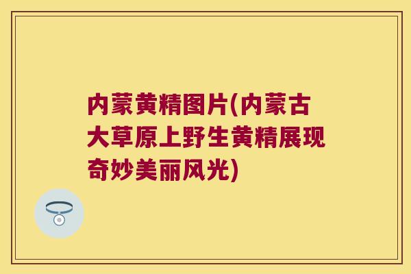 内蒙黄精图片(内蒙古大草原上野生黄精展现奇妙美丽风光)