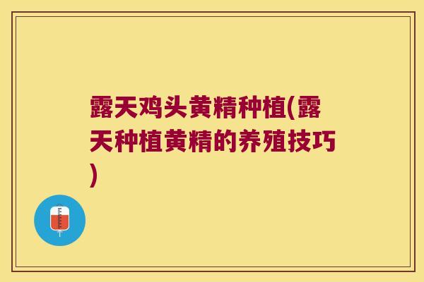 露天鸡头黄精种植(露天种植黄精的养殖技巧) 露天鸡头黄精种植(露天种植黄精的养殖技巧)