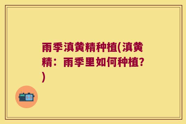 雨季滇黄精种植(滇黄精：雨季里如何种植？)