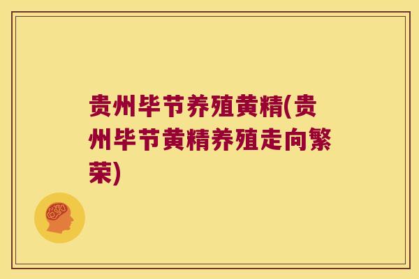 贵州毕节养殖黄精(贵州毕节黄精养殖走向繁荣)
