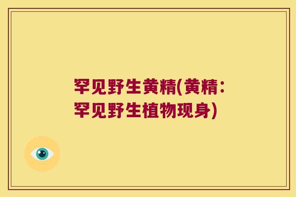 罕见野生黄精(黄精:罕见野生植物现身) 罕见野生黄精(黄精:罕见野生植物现身)