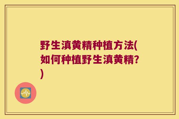 野生滇黄精种植方法(如何种植野生滇黄精?) 野生滇黄精种植方法(如何种植野生滇黄精?)