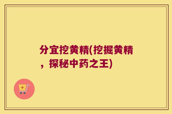分宜挖黄精(挖掘黄精，探秘之王)