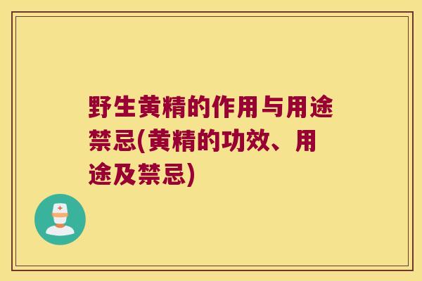 野生黄精的作用与用途禁忌(黄精的功效、用途及禁忌)