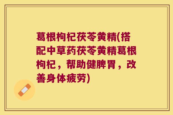 葛根枸杞茯苓黄精(搭配中草药茯苓黄精葛根枸杞，帮助健脾胃，改善身体疲劳)
