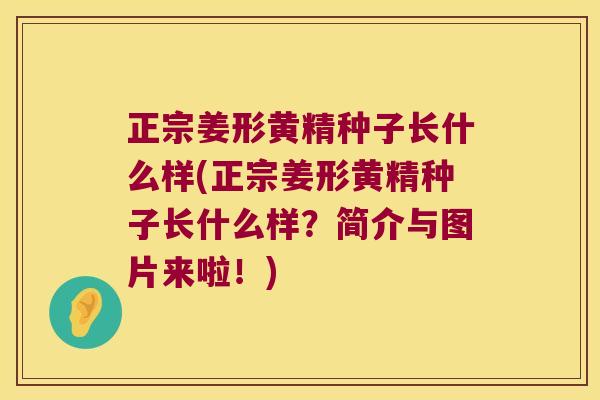 正宗姜形黄精种子长什么样(正宗姜形黄精种子长什么样？简介与图片来啦！)