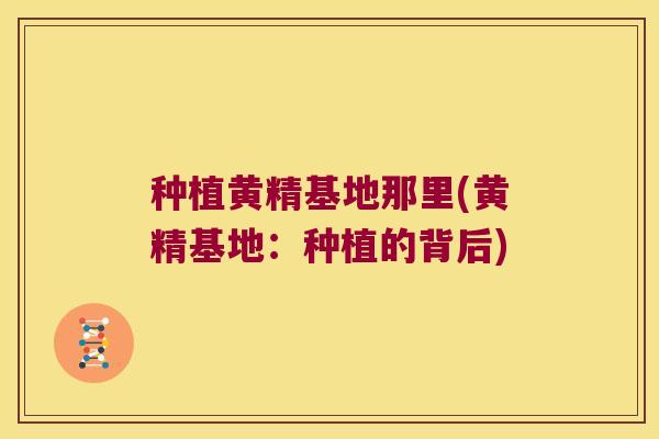 种植黄精基地那里(黄精基地:种植的背后) 种植黄精基地那里(黄精基地:种植的背后)