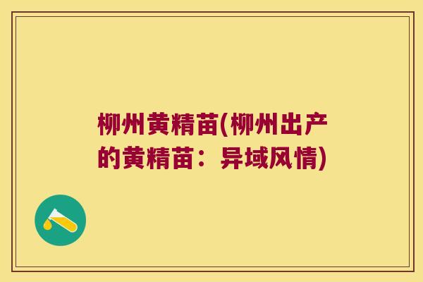 柳州黄精苗(柳州出产的黄精苗:异域风情) 柳州黄精苗(柳州出产的黄精苗:异域风情)