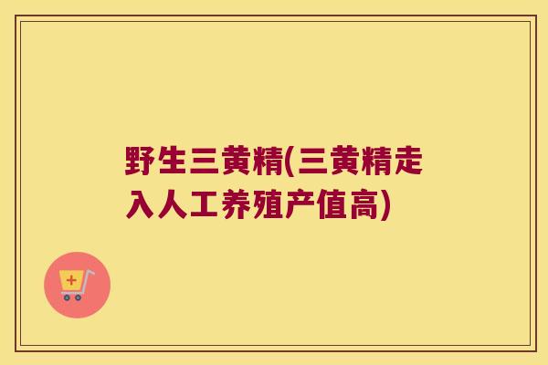 野生三黄精(三黄精走入人工养殖产值高) 野生三黄精(三黄精走入人工养殖产值高)