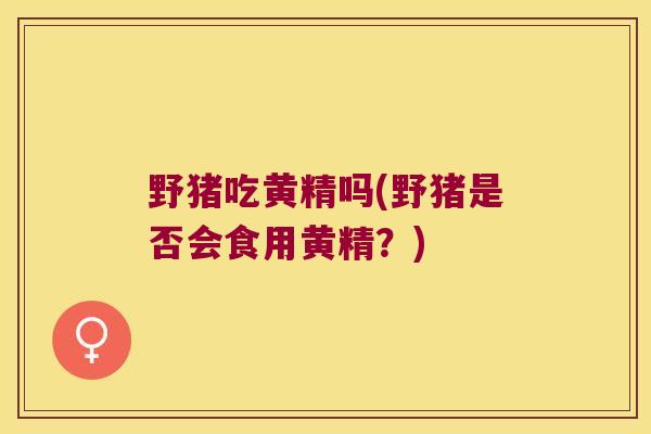 野猪吃黄精吗(野猪是否会食用黄精？)