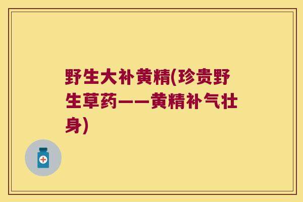 野生大补黄精(珍贵野生草药——黄精壮身) 野生大补黄精(珍贵野生草药——黄精壮身)