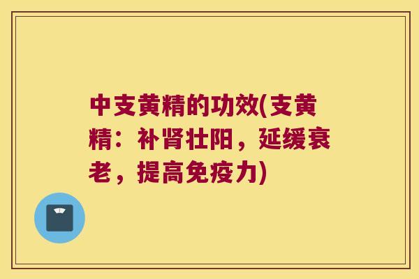 中支黄精的功效(支黄精:补壮阳,延缓,提高力) 中支黄精的功效(支黄精:补壮阳,延缓,提高力)
