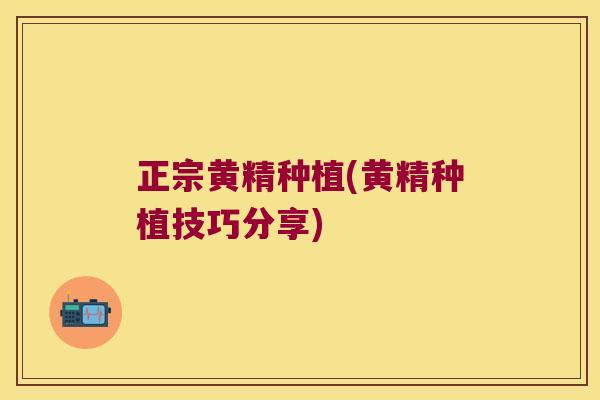 正宗黄精种植(黄精种植技巧分享)