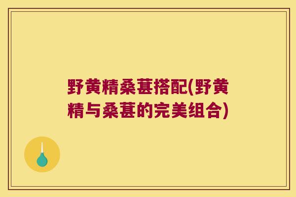 野黄精桑葚搭配(野黄精与桑葚的完美组合) 野黄精桑葚搭配(野黄精与桑葚的完美组合)